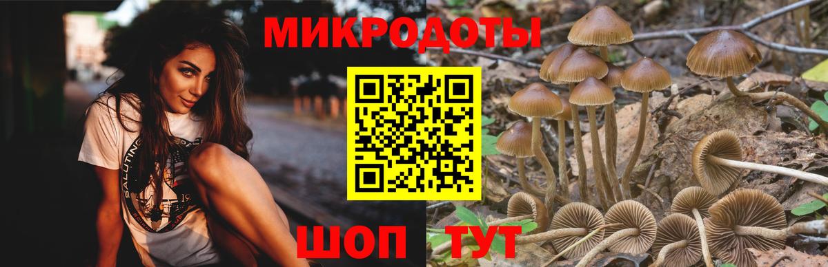 Галлюциногенные грибы Psilocybine cubensis  Псилоцибиновые грибы мухоморы  Гай  Вход с VPN 